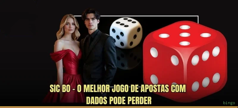 Programa VIP bingo - benefícios exclusivos