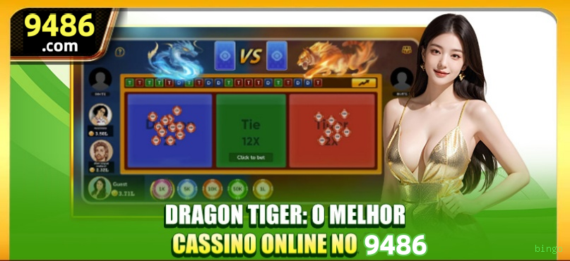 Suporte VIP bingo - atendimento prioritário